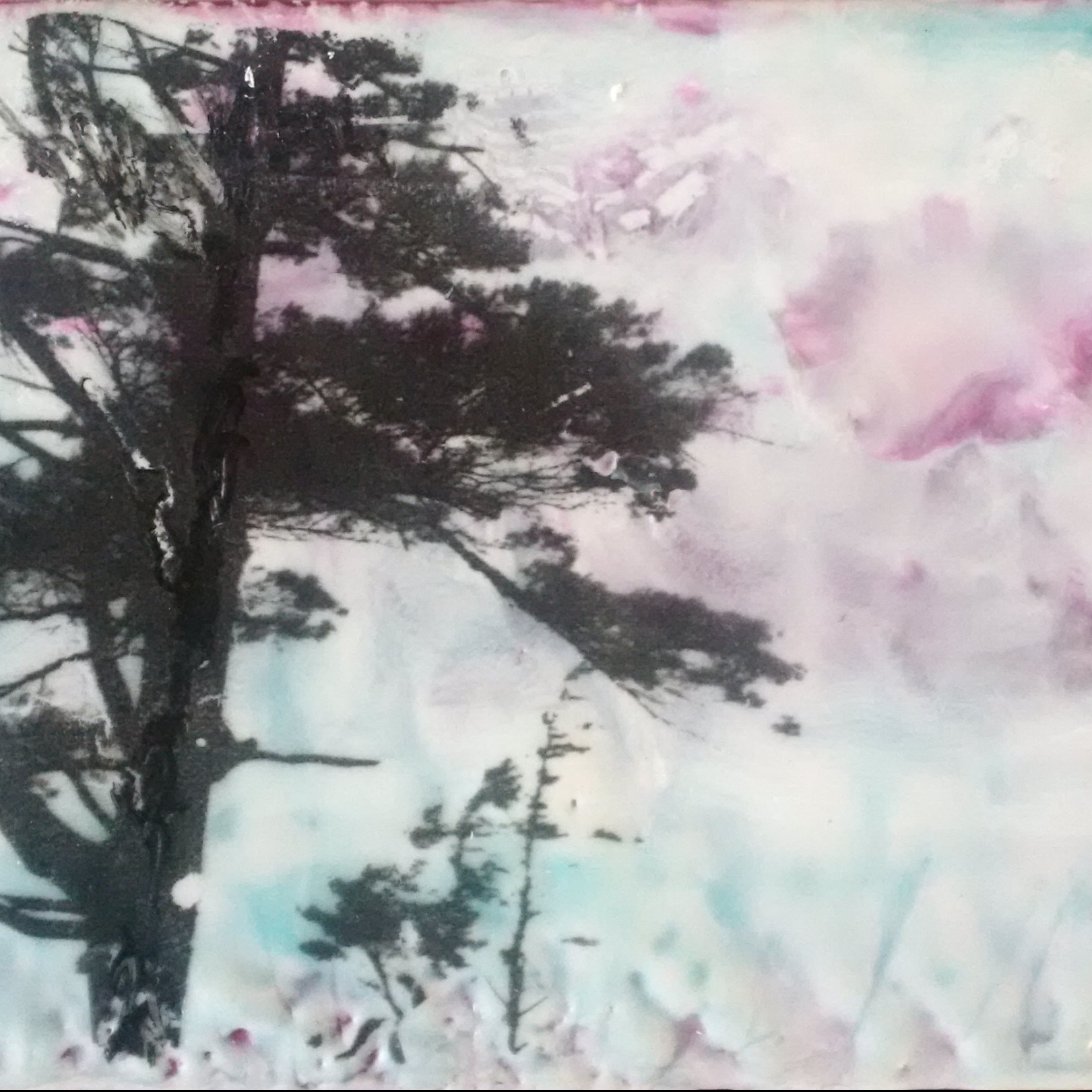 cropped-img_20171020_095434_edit