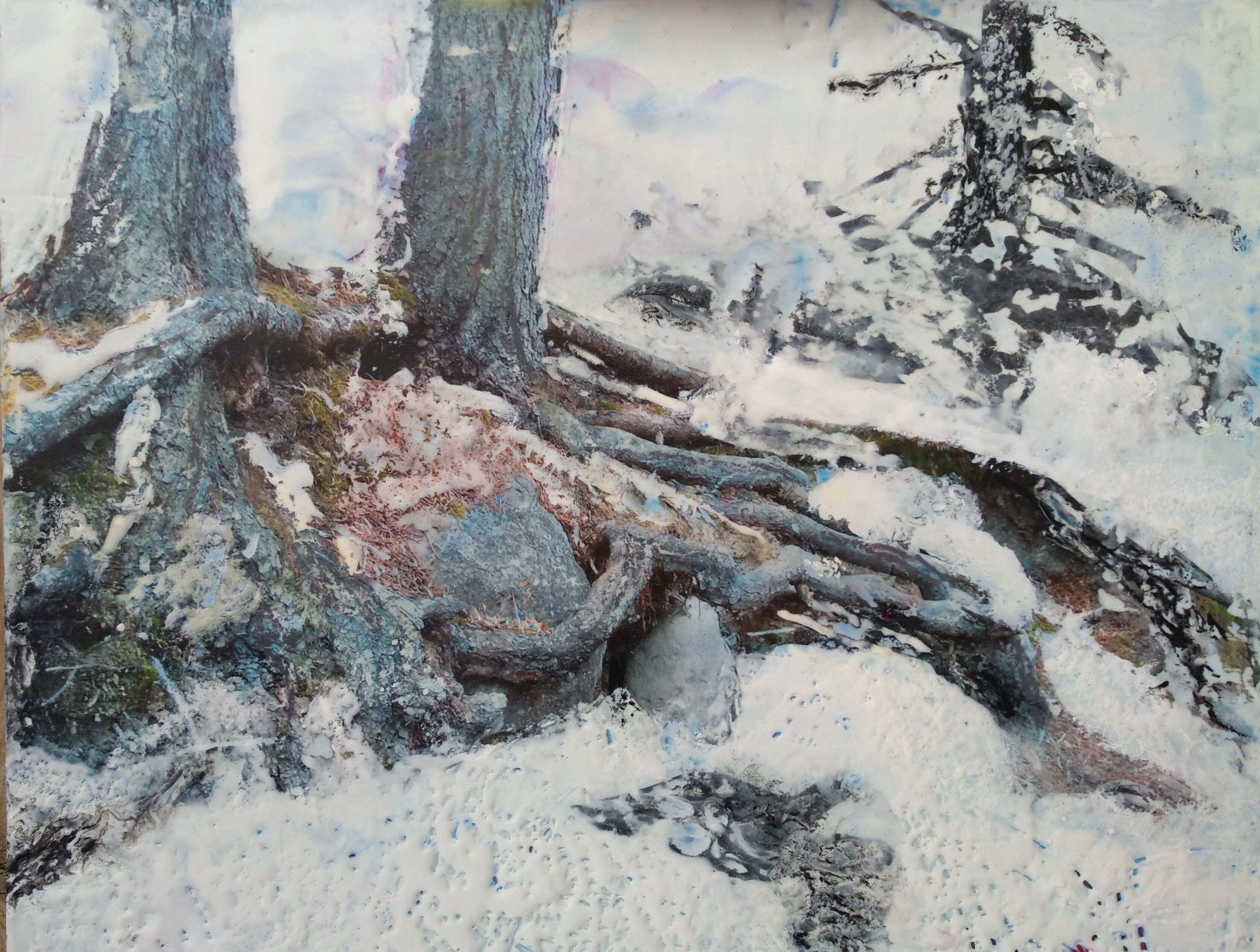 Hieblinger. Snow Laced Roots; oil, wax, resin, photo transfer; 11hx15w
