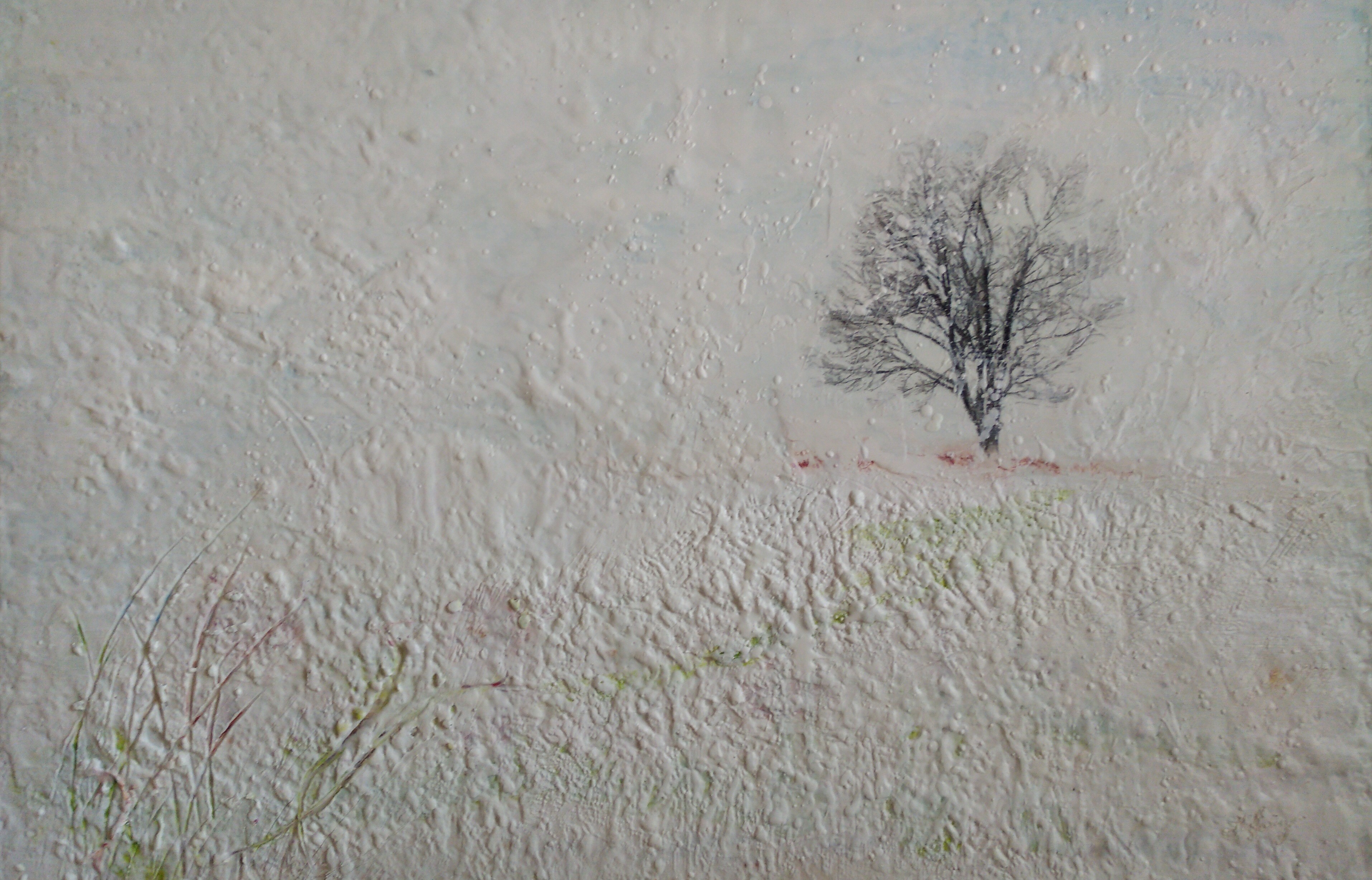 IMG_20191015_1447158~2